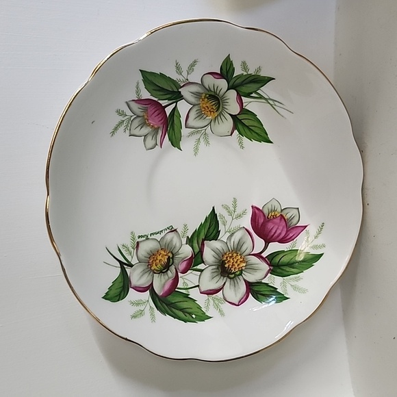 Vintage REGENCY English Bone China Christmas Rose Teacup and Saucer. 1950 - Picture 3 of 8